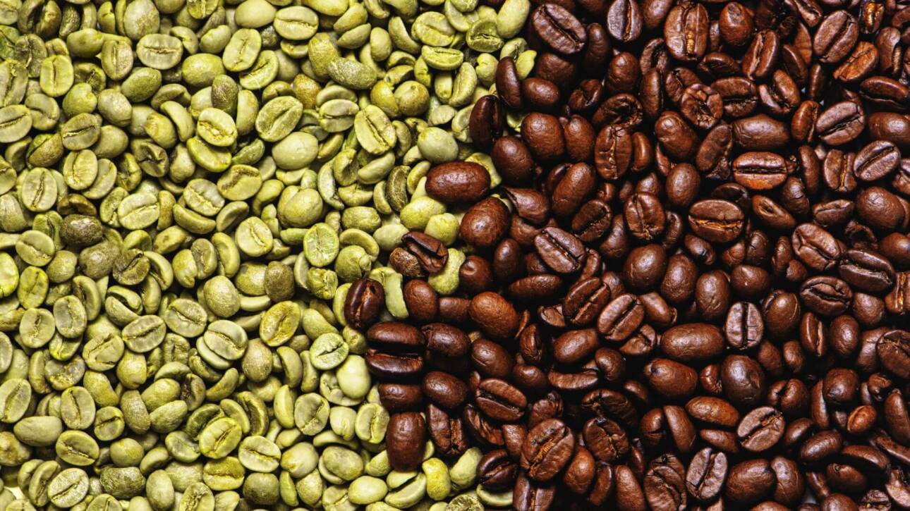 80:20 filter coffee powder blend beans from Chikmagalur estate