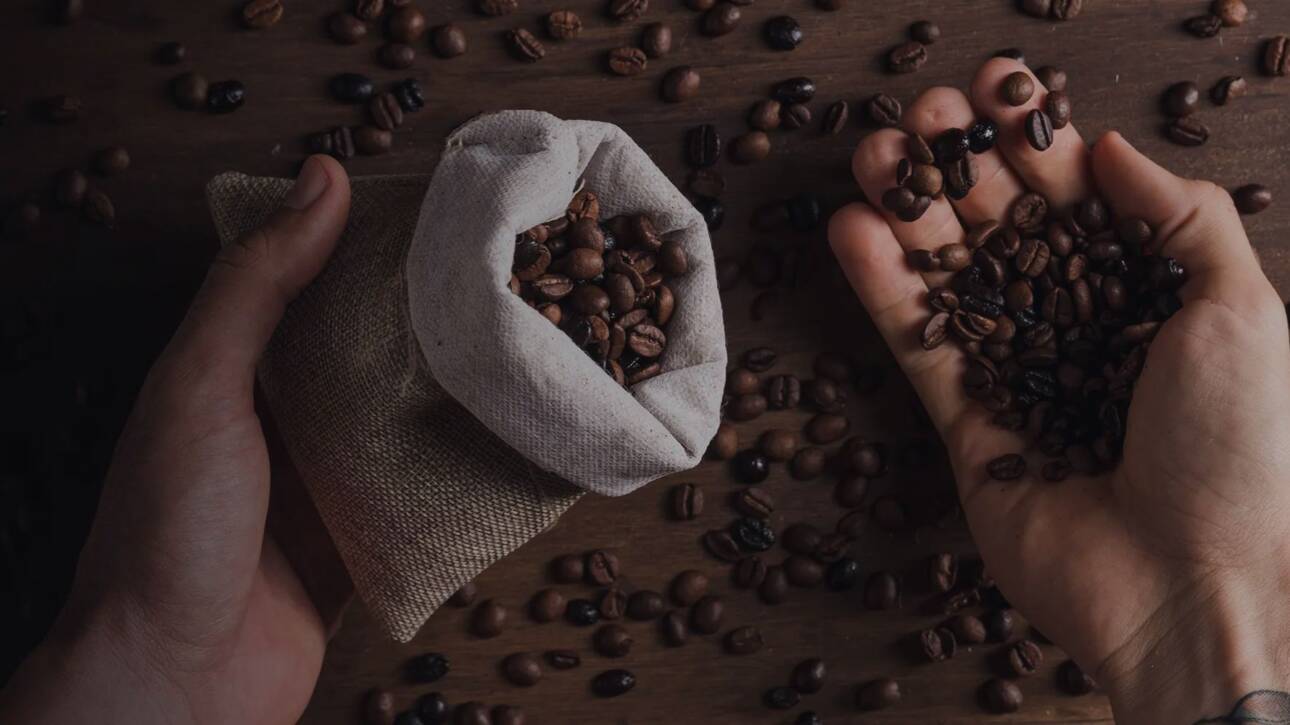 chikmagalur coffee buying guide - estate coffee powders and blends