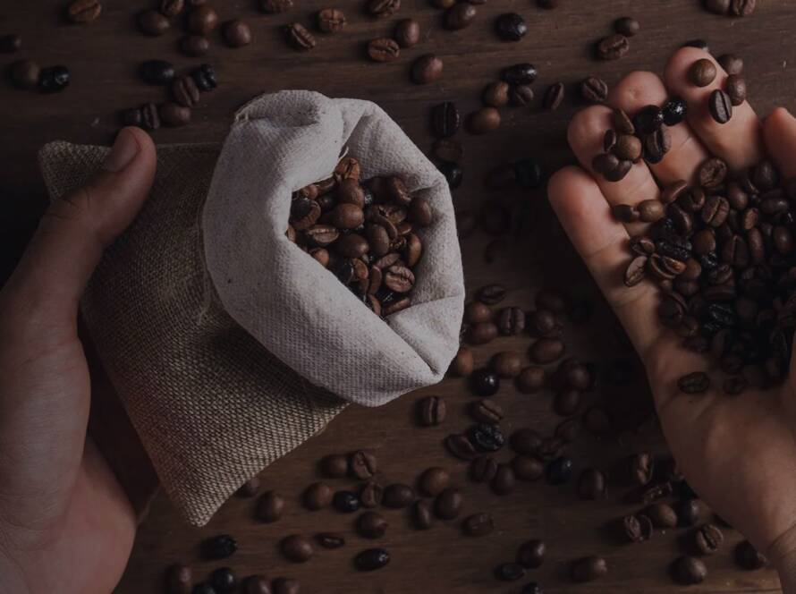 chikmagalur coffee buying guide - estate coffee powders and blends